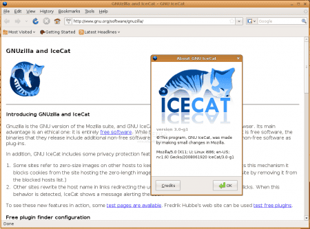 GNU IceCat: ������ ������ � �����������