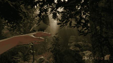 The Forest. ������� ������ ������� ������� | ������ ���������... � �����... � �����������...