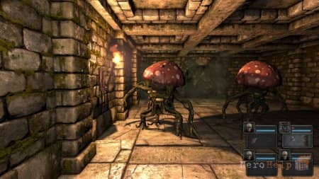 ����� Legend of Grimrock 2 |  ��������� �������