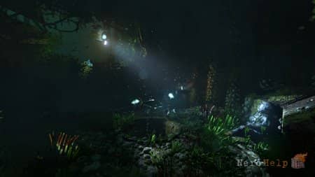 SOMA ����� � ������ pre-beta