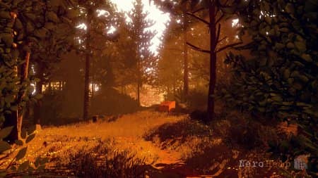 ��������������� ����� Firewatch |�����, ��� �� �����