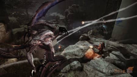 ����� Evolve | � ���� ��������
