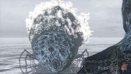 ����� Bloodborne | ��� �� ����� �����