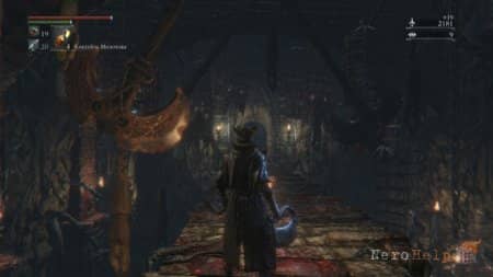 ����� Bloodborne | ��� �� ����� �����