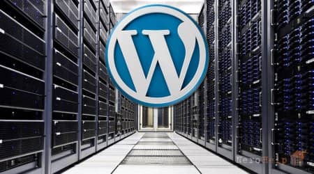 WordPress �������: ������������ � �����������