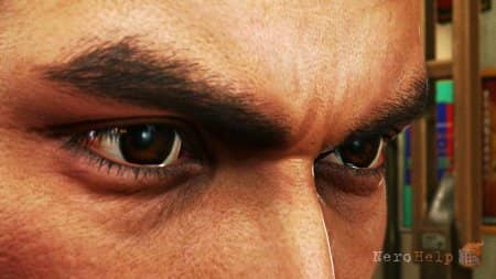 ������ � ��������� ����-������ Yakuza 6