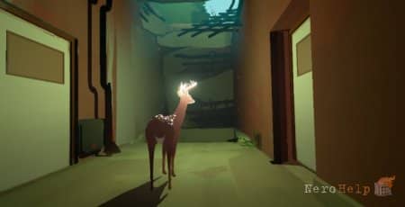 Way to the Woods - ���� �� 16-������� ��������� �������� ������������� ������������ Team 17