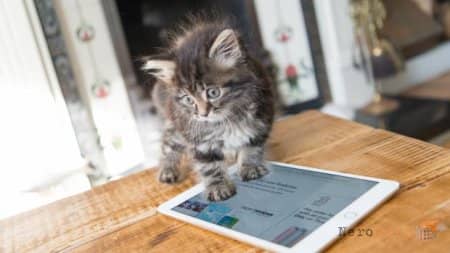 ������ ������ �� iPad Mini 4
