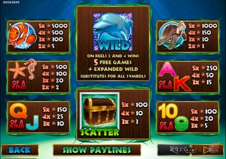 Dolphin Reef � Knockout - � ������ �� ������