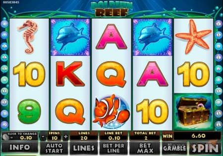 Dolphin Reef � Knockout - � ������ �� ������