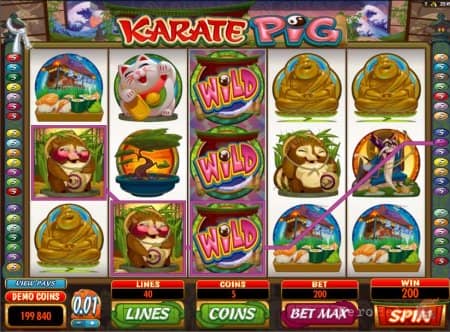 Karate Pig | �������