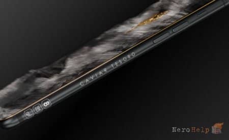 iPhone X Imperial Crown � ��������, ��������� �����