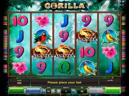 Gorilla - ���� ��������