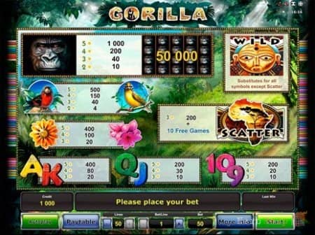 Gorilla - ���� ��������