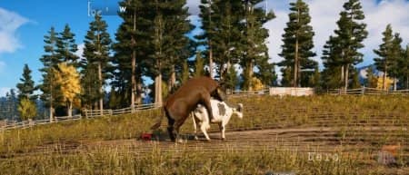 ������ Far Cry 5