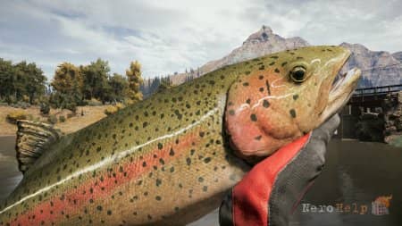����� Far Cry 5