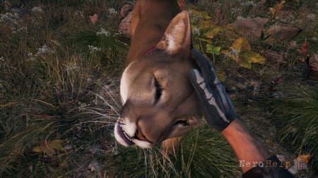 ����� Far Cry 5