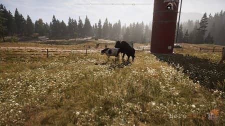 ����� Far Cry 5