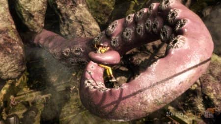 Dead or Alive 6 - � ���� ������ ��������� � ������� � ������