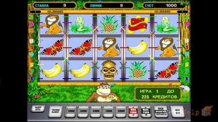 � �������� ������ ����� Crazy Monkey ���������� ������� �� ����� � �������� ������