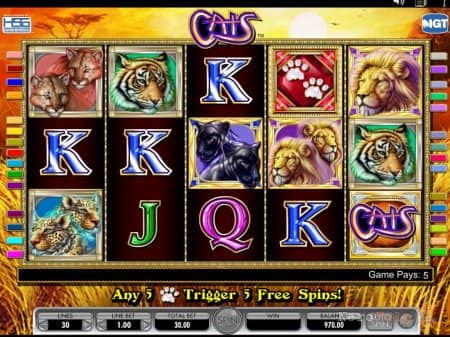 � ����� Cats ��������� ����������� �������� �������� ����� 2 ������� � �������� �����������