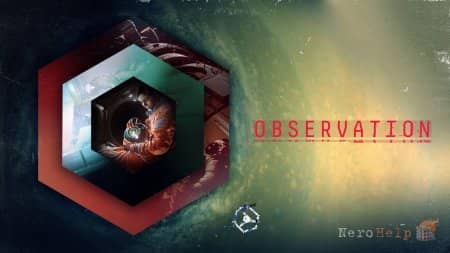 Observation - �����������  ������� �� ������ No Code ������� ����� �������
