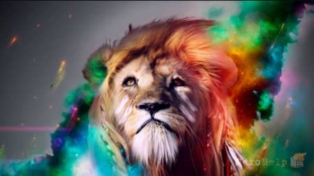 Savanna - ����� ������� ����������� ������