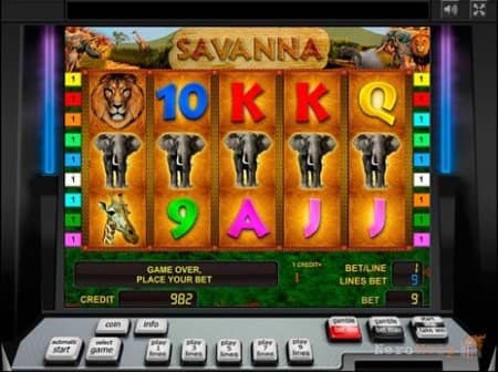 Savanna - ����� ������� ����������� ������