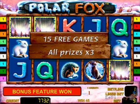 Polar Fox � ������� �������� ������