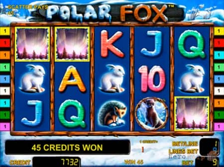 Polar Fox � ������� �������� ������