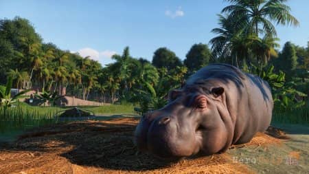 ��������������� ����� Planet Zoo