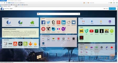 ����� Web-��������� Palemoon
