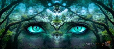 New Weird � ��� ������