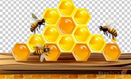 ����� The Sting | ������ ������� ����� ������