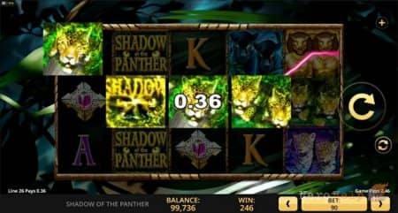����� Shadow of the Panther