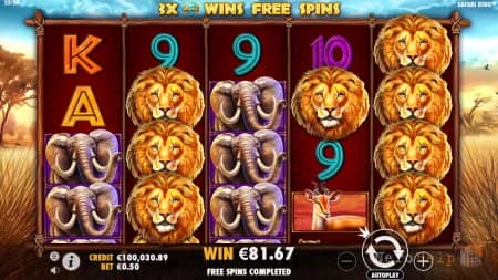 ����� Safari King | ����������� ���� ������ ������ ������