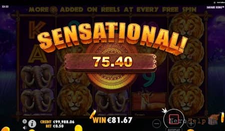 ����� Safari King | ����������� ���� ������ ������ ������